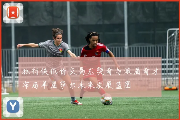 独行侠低价交易东契奇与浓眉奇才布局羊眉萨尔未来发展蓝图