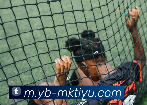 MK体育平台生态图