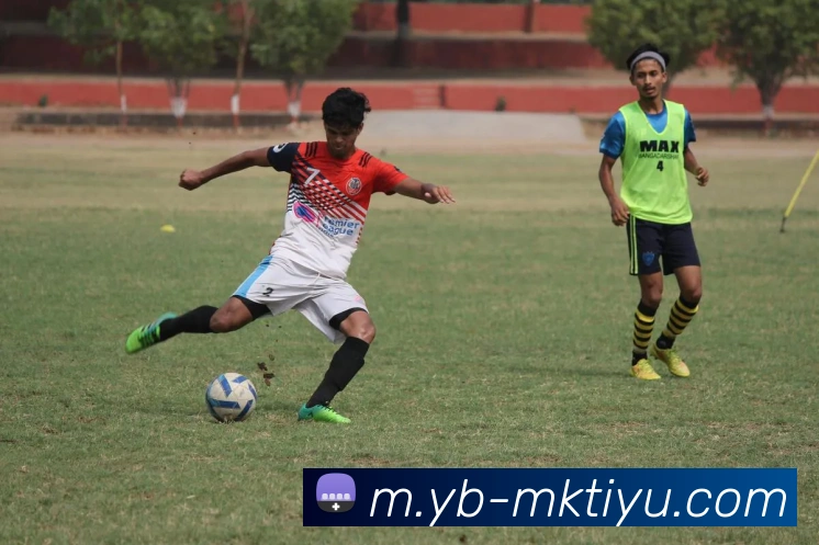 MK体育APP 封面图